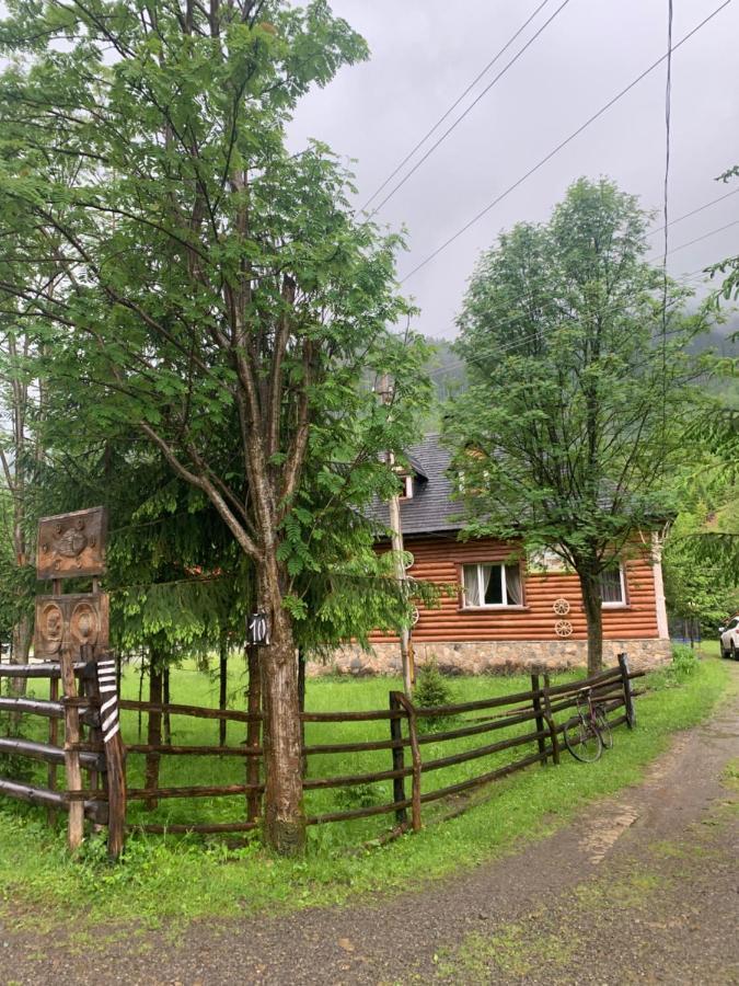 Будинок Художника Synevyrs'ka Polyana Exterior photo
