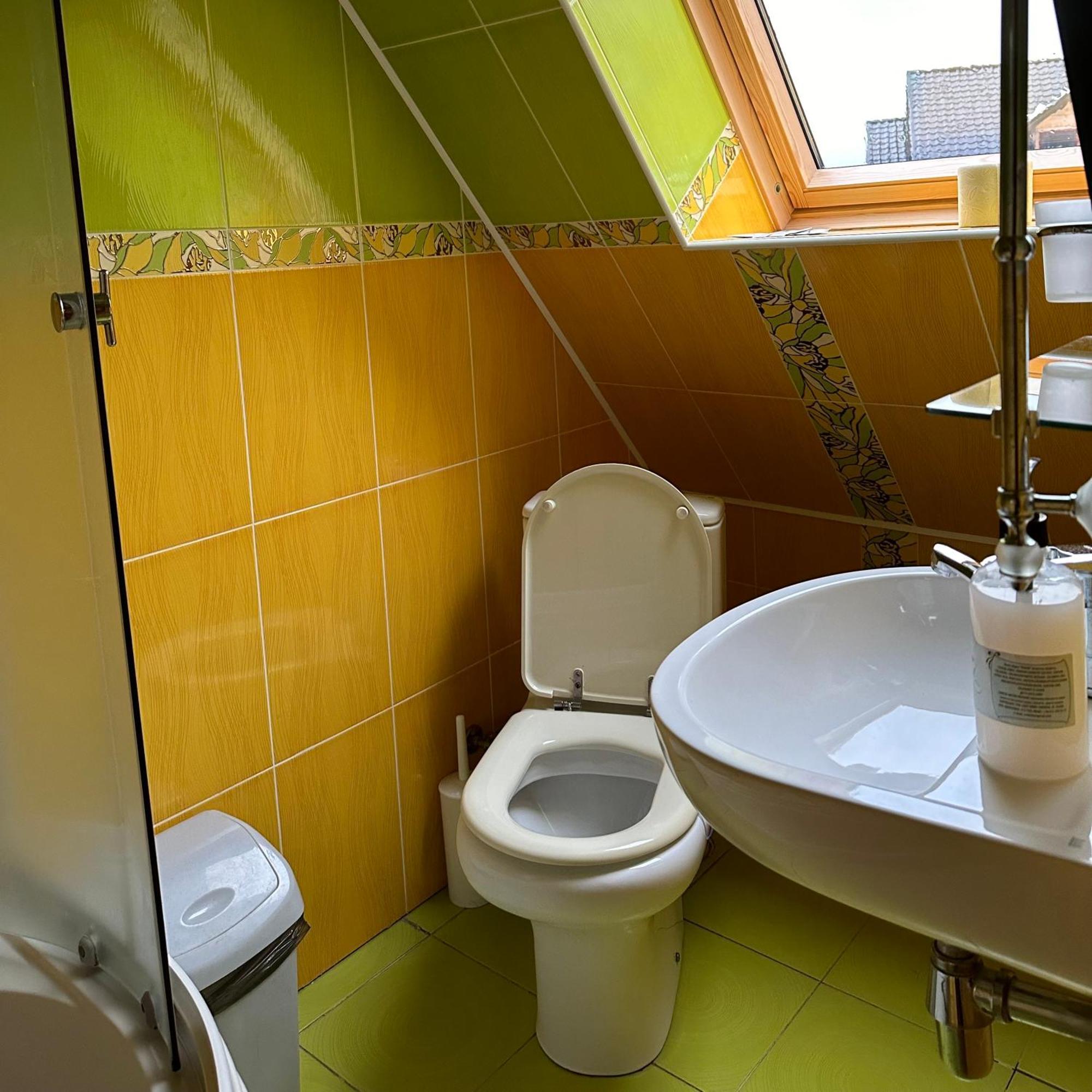 Будинок Художника Synevyrs'ka Polyana Room photo
