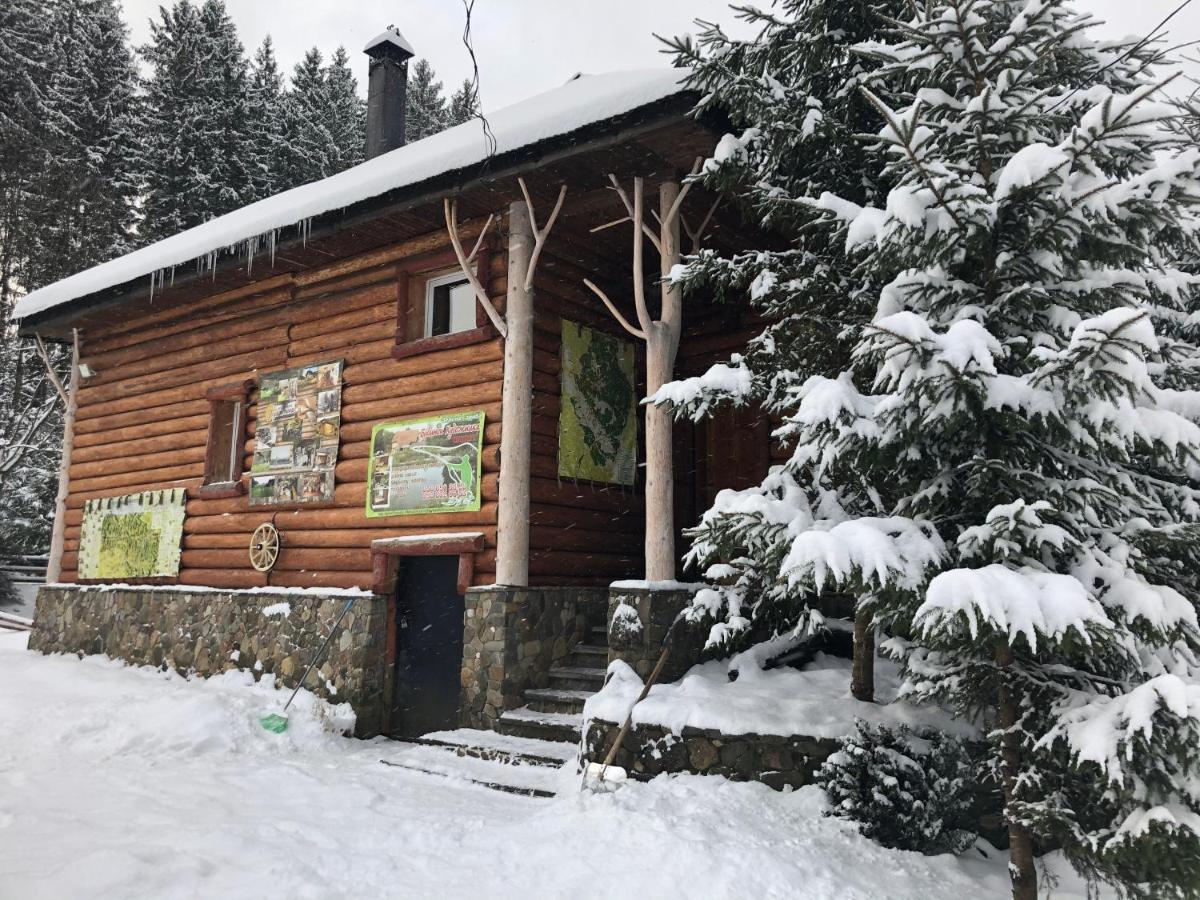 Будинок Художника Synevyrs'ka Polyana Exterior photo
